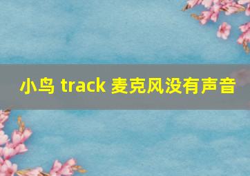 小鸟 track 麦克风没有声音